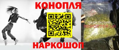 крисы Бердск